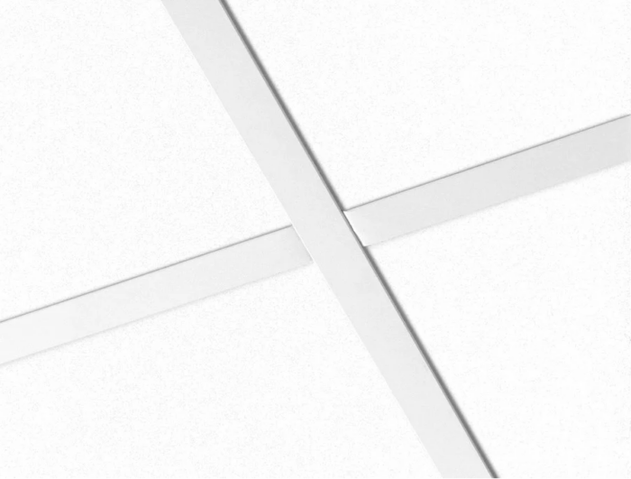 Ecophon Focus A 600x1200mm inleg