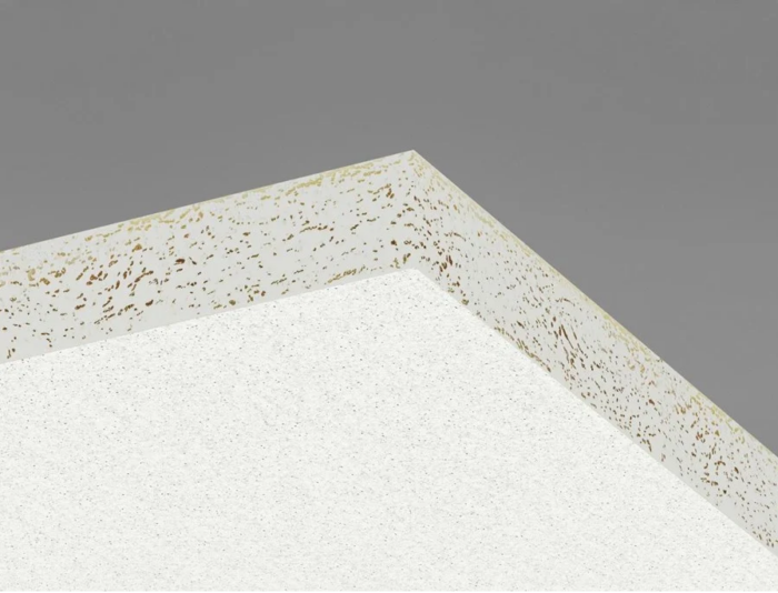 Ecophon Hygiene Performance 600x600mm inleg