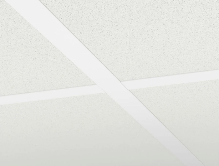 Ecophon Hygiene Performance 600x600mm inleg