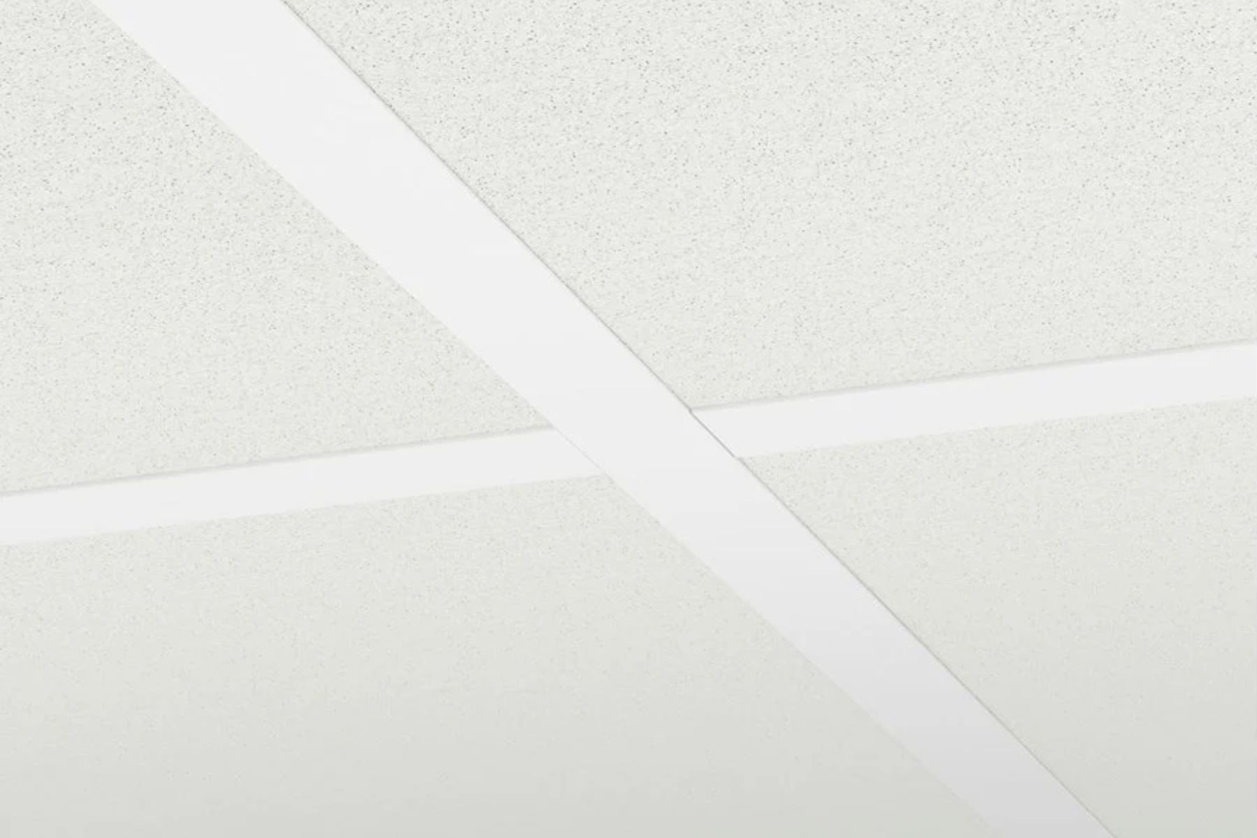 Ecophon Hygiene Performance 600x1200mm inleg