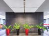 Ecophon Solo plafondeiland 1200x1200x40 mm