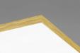 Ecophon Advantage 600x1200mm inleg
