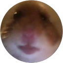 nicklasvandepas profielfoto