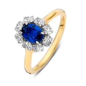 ring-bicolor-briljant-saffier-Circles Trouwringen