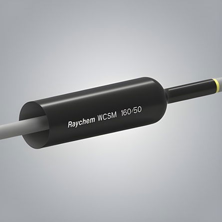 RAYCHEM WCSM