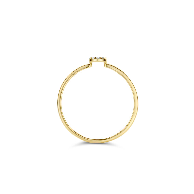 Blush 14krt gouden Ring Zirconia 1217YZI/52 - Afbeelding 2