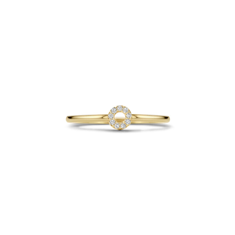 Blush 14krt gouden Ring Zirconia 1217YZI/52 - Afbeelding 3
