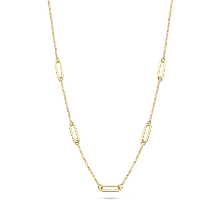 Blush 14krt Collier Geelgoud 3102YGO