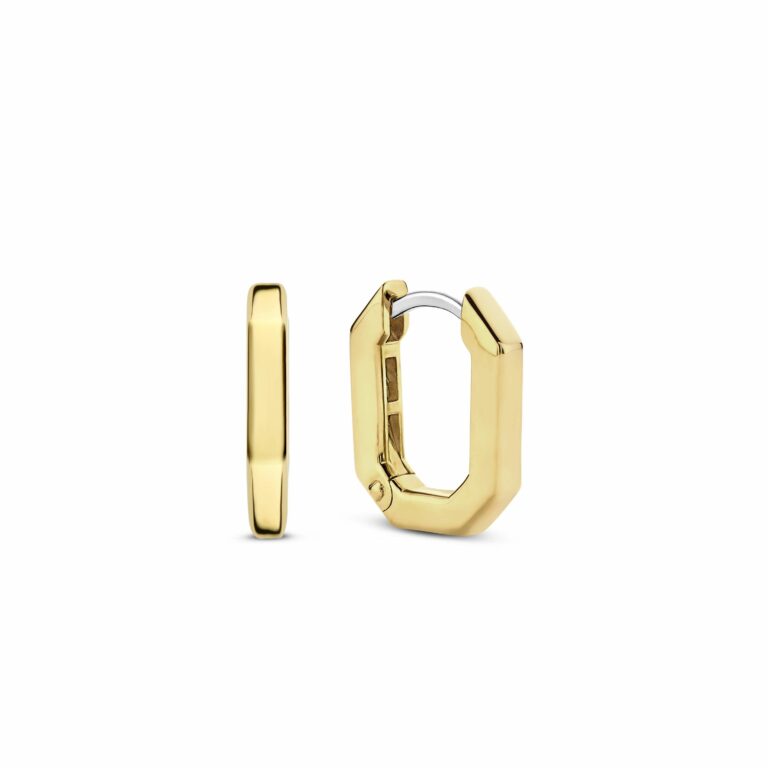 Ti Sento oorsieraden 7929SY