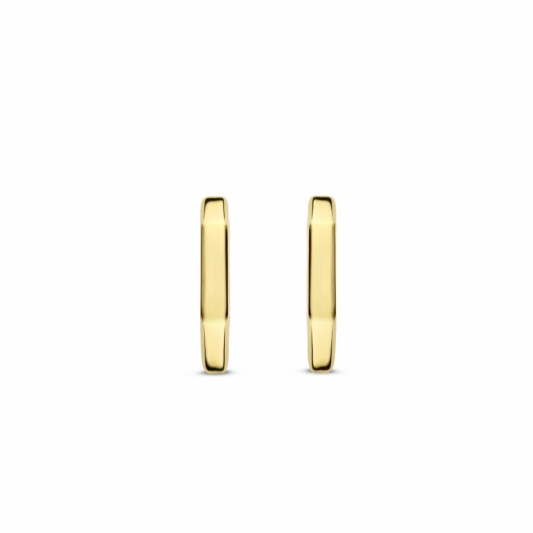 Ti Sento oorsieraden 7929SY - Afbeelding 2