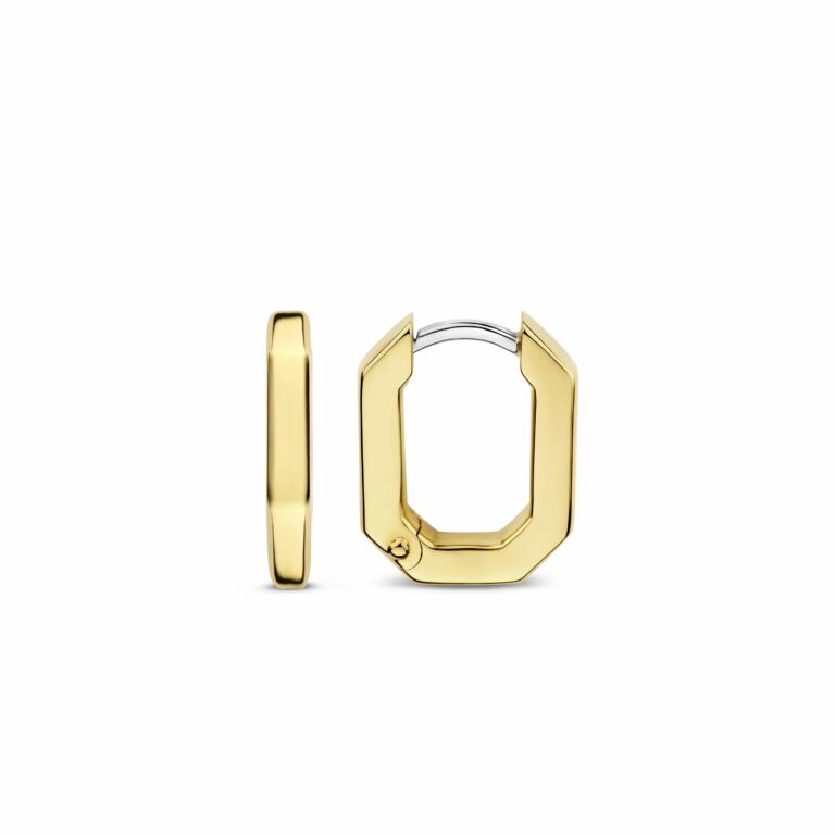 Ti Sento oorsieraden 7929SY - Afbeelding 3