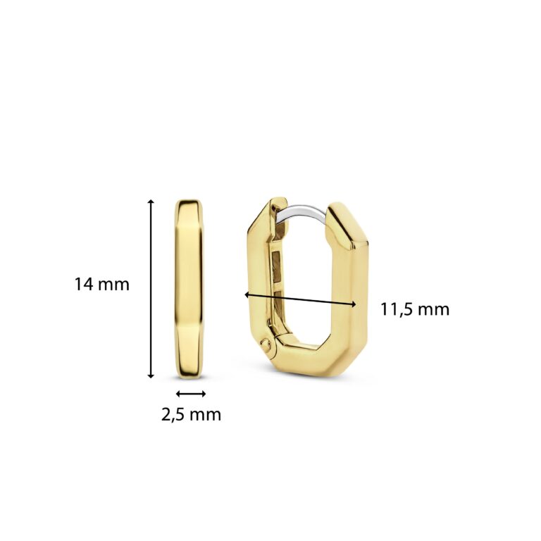 Ti Sento oorsieraden 7929SY - Afbeelding 4