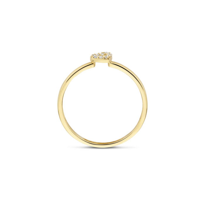 Blush 14k Ring zirconia 1231YZI/52 - Afbeelding 2