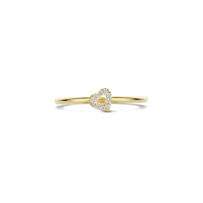 Blush 14k Ring zirconia 1231YZI/52 - Afbeelding 3