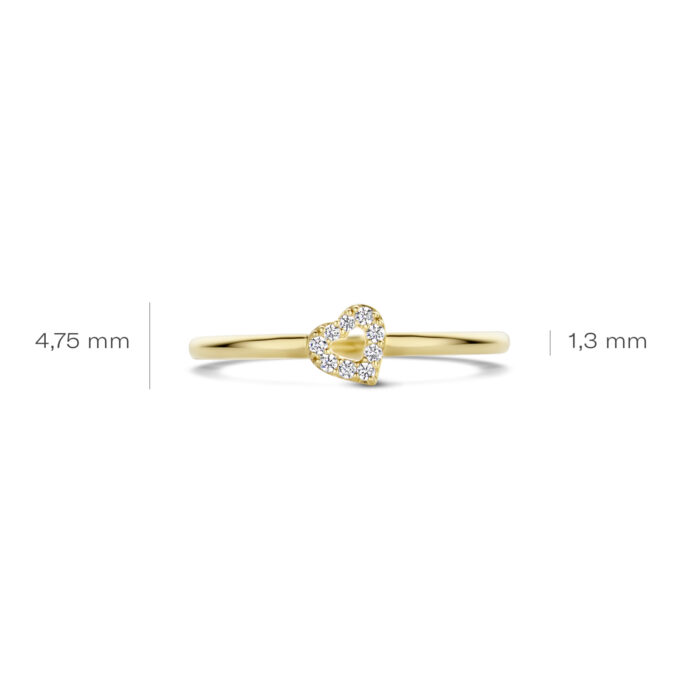 Blush 14k Ring zirconia 1231YZI/52 - Afbeelding 4