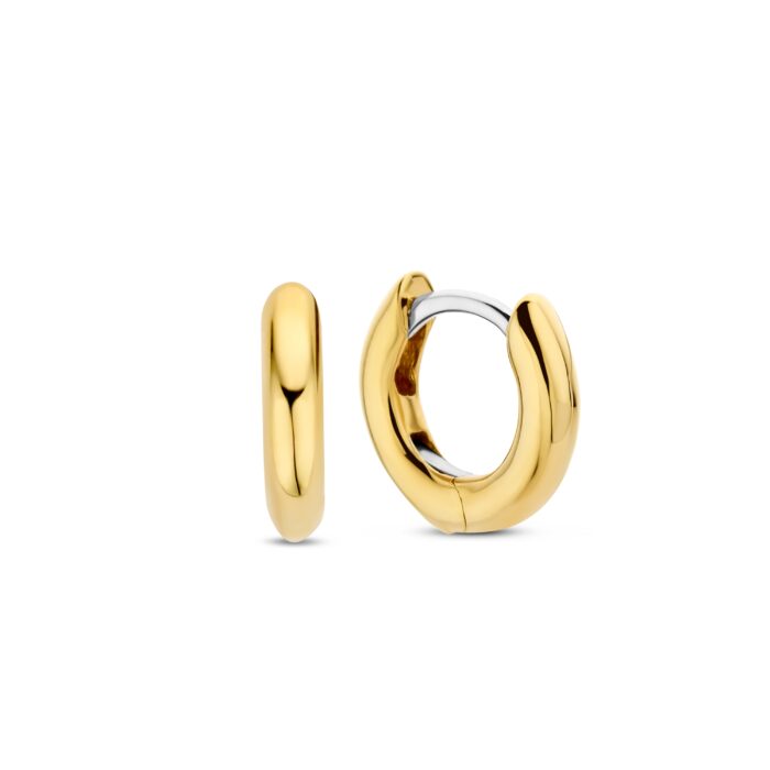 Ti Sento oorringen 7954YS