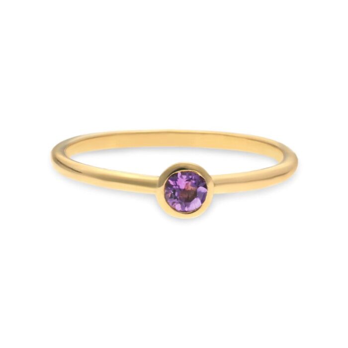 Swing Jewels 14 krt Amathist SWBR01FEB