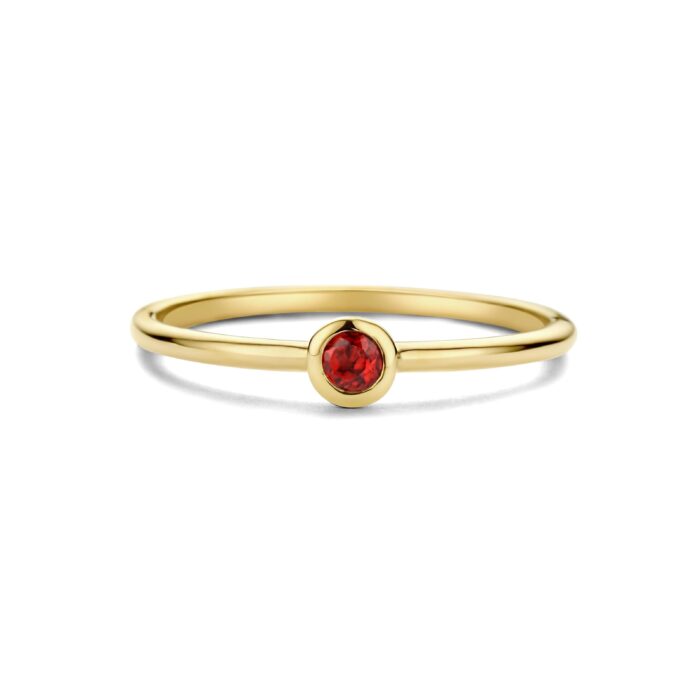 Swing Jewels 14 krt Granaat SWBR01JAN