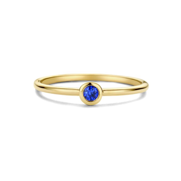 Swing Jewels 14 krt Saffier SWBR01SEP