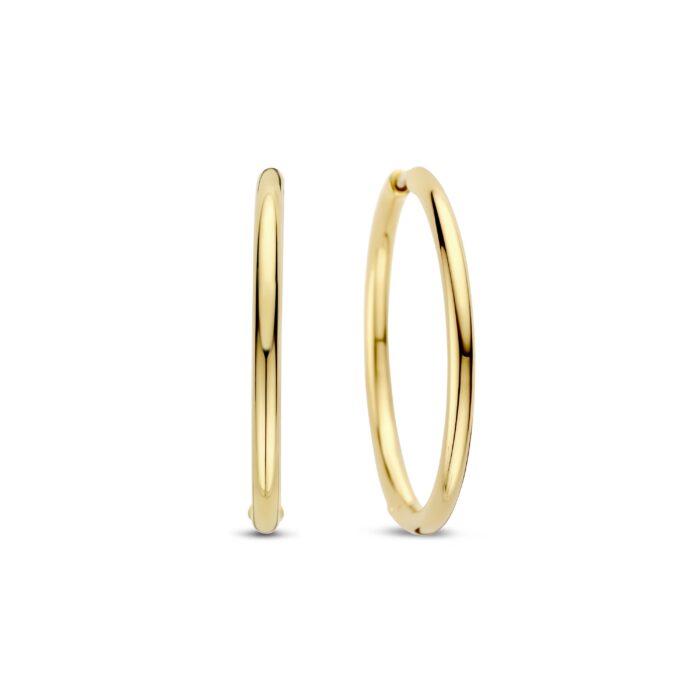 Ti Sento Oorsieraden 78007SY