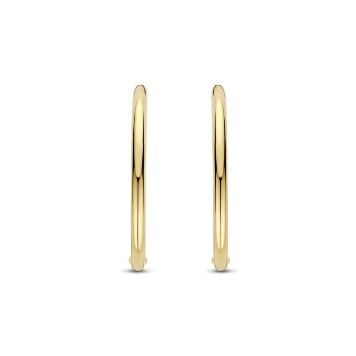 Ti Sento Oorsieraden 78007SY - Afbeelding 2