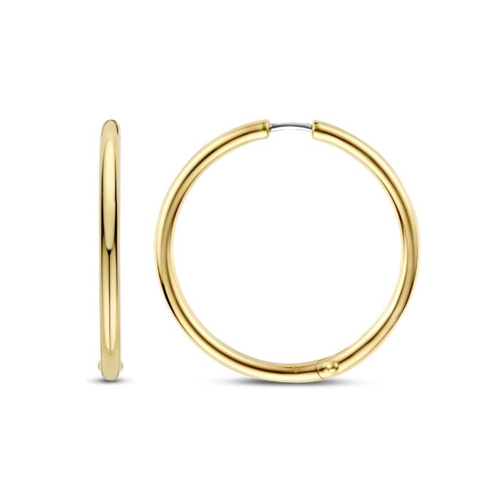Ti Sento Oorsieraden 78007SY - Afbeelding 3