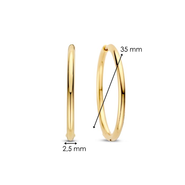 Ti Sento Oorsieraden 78007SY - Afbeelding 4