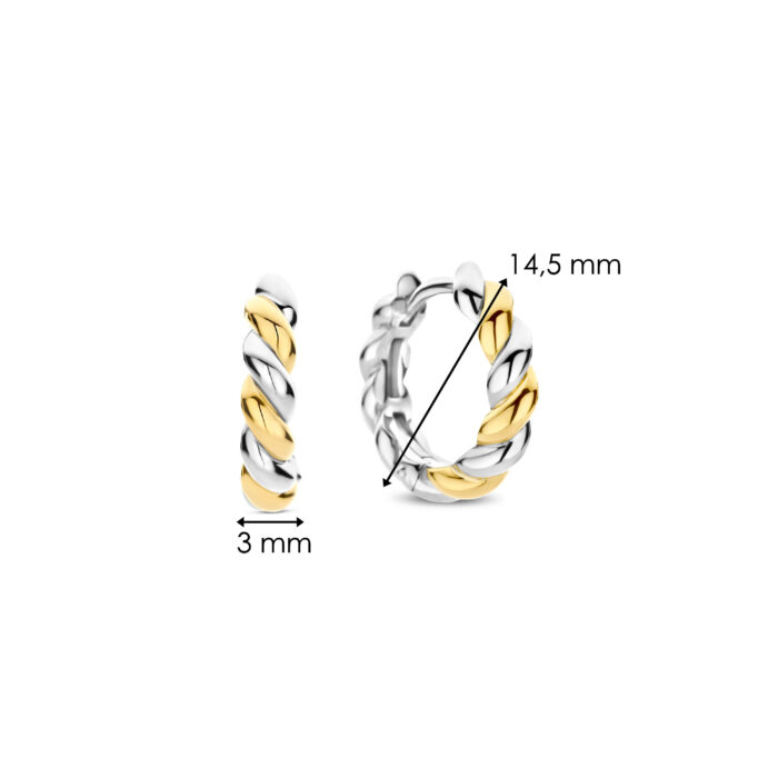 Ti Sento Oorsieraden 78021SY - Afbeelding 4