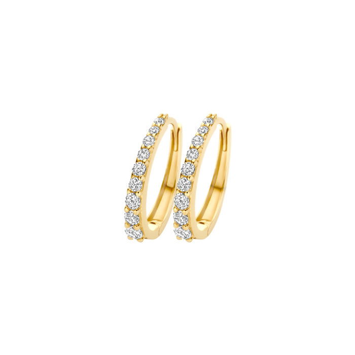Blush oorringen zirconia 7342YZI